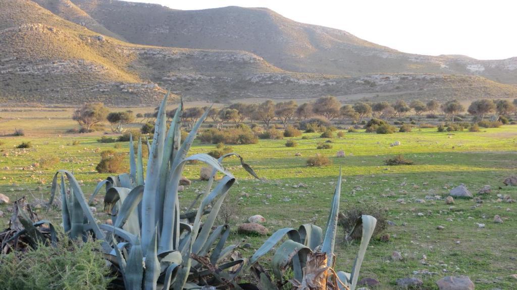 Complejo La Ermita Hotell Rodalquilar Exteriör bild